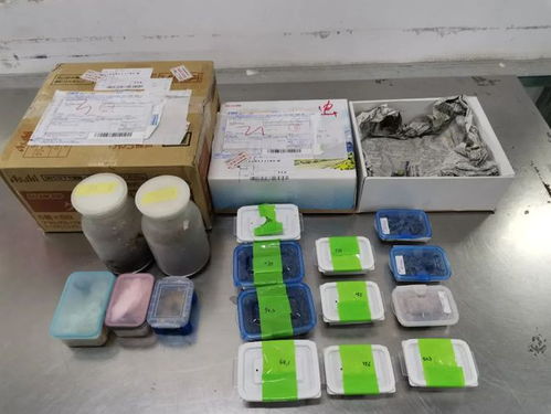 海关严查进境邮政快件，摇身一变的日用品惊现活体甲虫