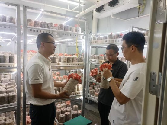 科研活动赋能食用农产品研发 驱动农业现代化与健康饮食新变革