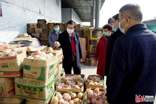 邢台市市场监管局党组书记柳金钟实地调研食用农产品市场销售信息追溯系统建设 筑牢食品安全防线，推动追溯技术研发创新