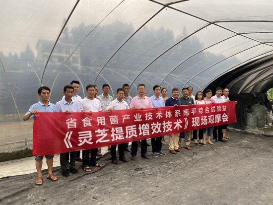 沁润八闽菌香 书写良技新章——福建省现代农业食用菌产业技术体系行动侧记